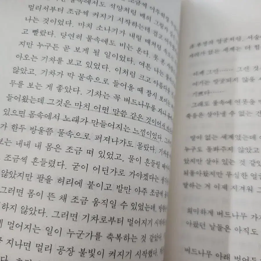 시집 여러권(허수경, 이병률, 당근밭, 작약은 물속에서 환한데 등등)