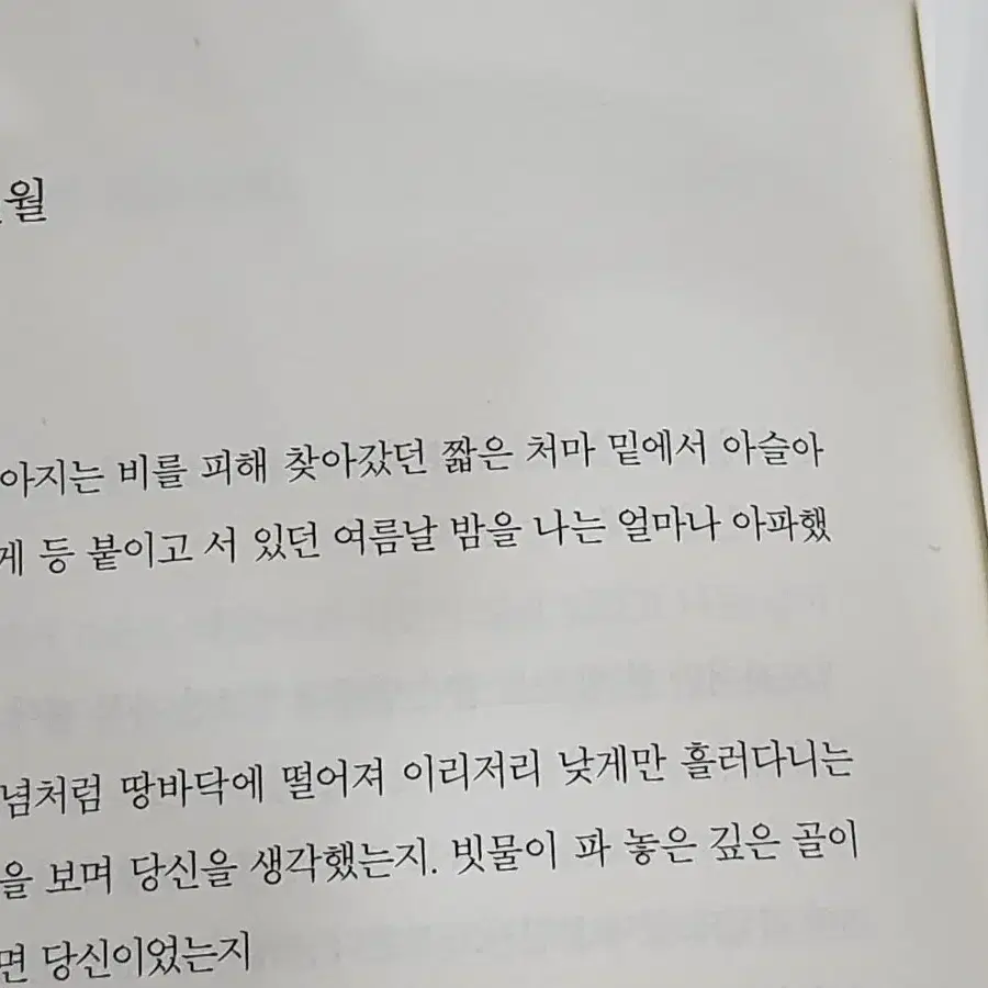 시집 여러권(허수경, 이병률, 당근밭, 작약은 물속에서 환한데 등등)