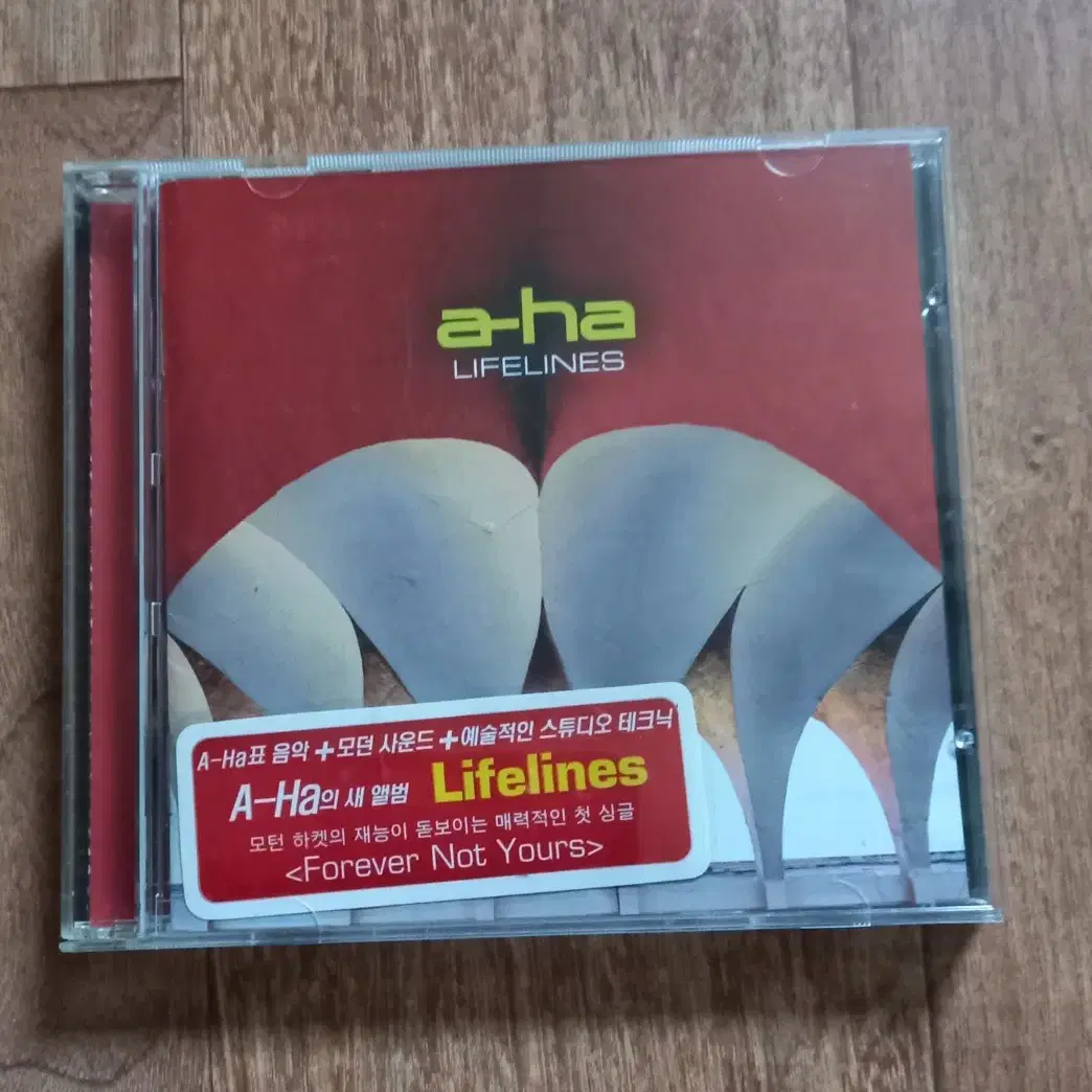 a ha cd 아하 시디