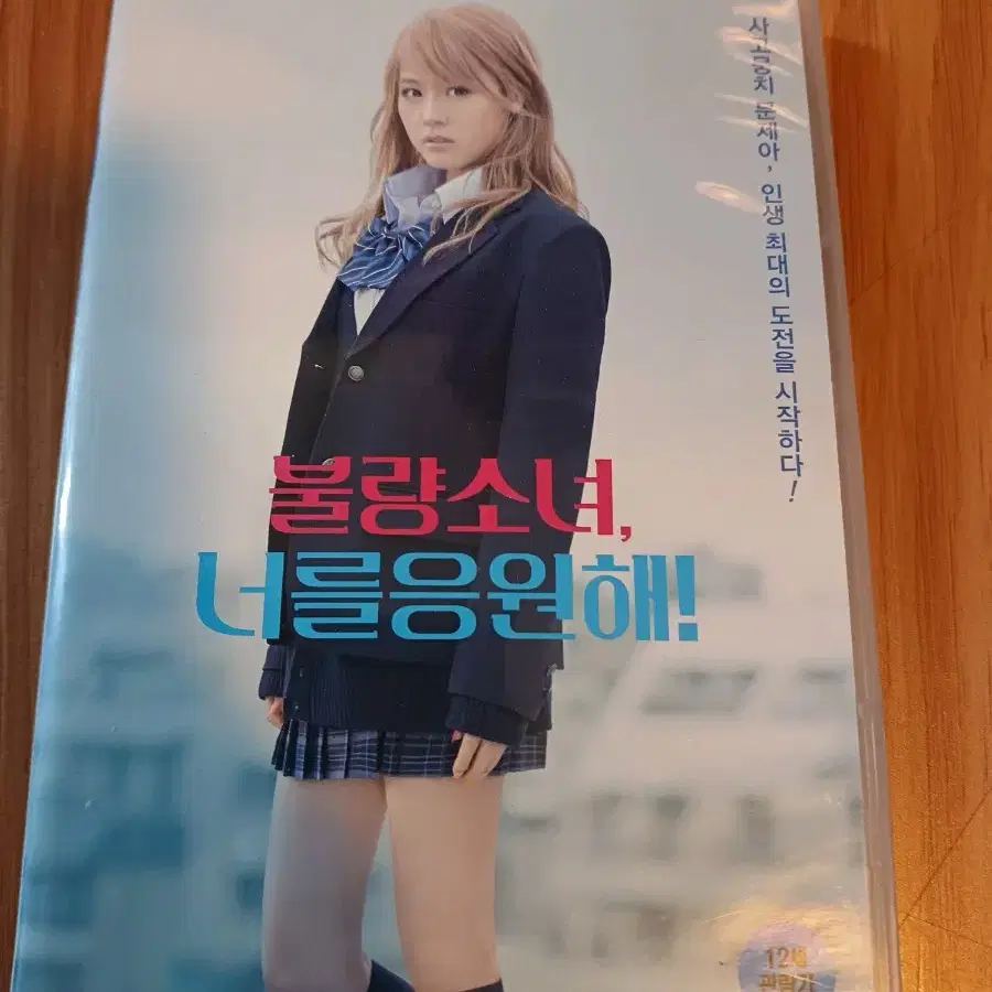 [불량소녀, 너를 응원해] DVD