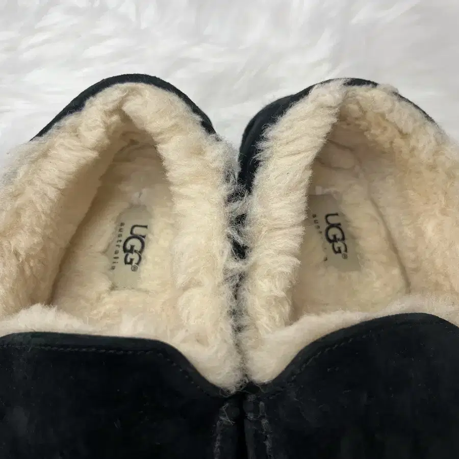 ugg 애스콧 모카신 스웨이드 털신 250mm(남녀공용)