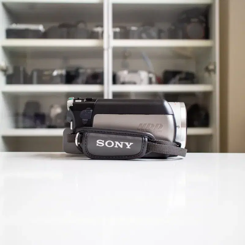 Sony DCR-SR100