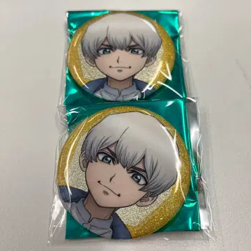 Dr.STONE 서원사 깃털 깃털 중외 글리터 캔배지