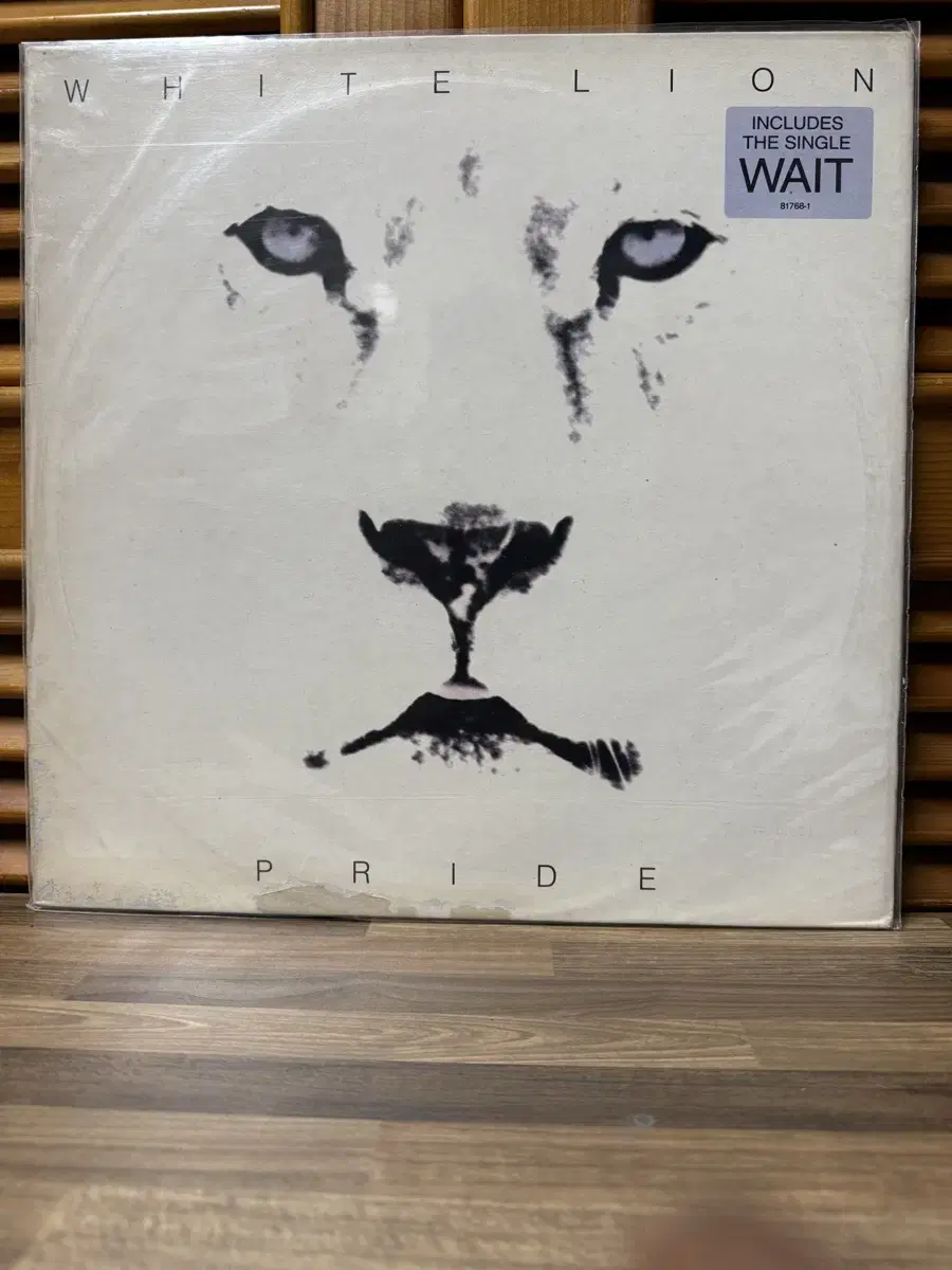 White Lion : Lp.