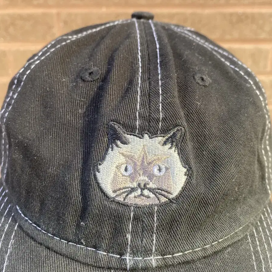 Cat Vintage Cap