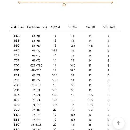 도로시와 왕뽕 노와이어 브라팬티세트 와인,크림