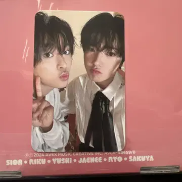 nctwish wishful 리쿠 사쿠야 케미 트레이딩 카드