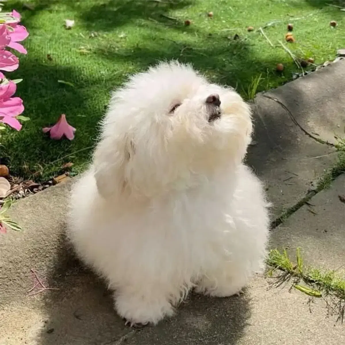 모프샌드x산리오 우사하나 캐릭터 봉제인형 키링 판매