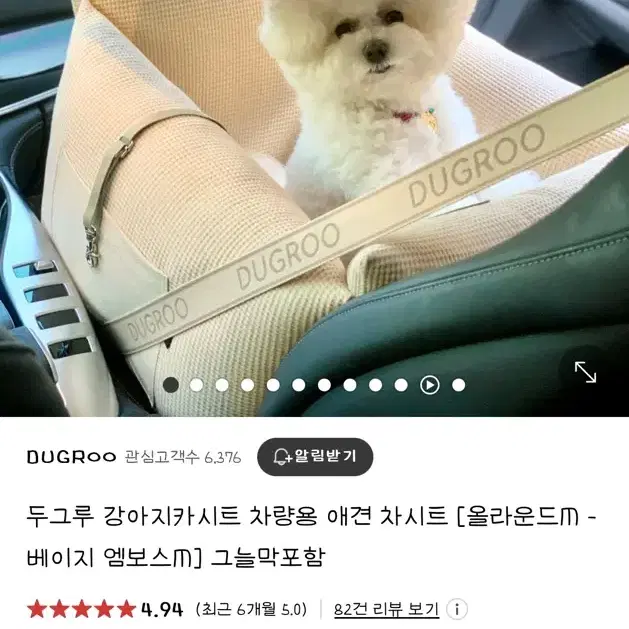 두그루 강아지 카시트