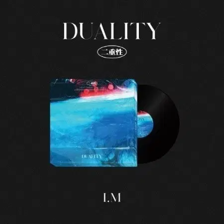 아이엠 duality LP 엘피