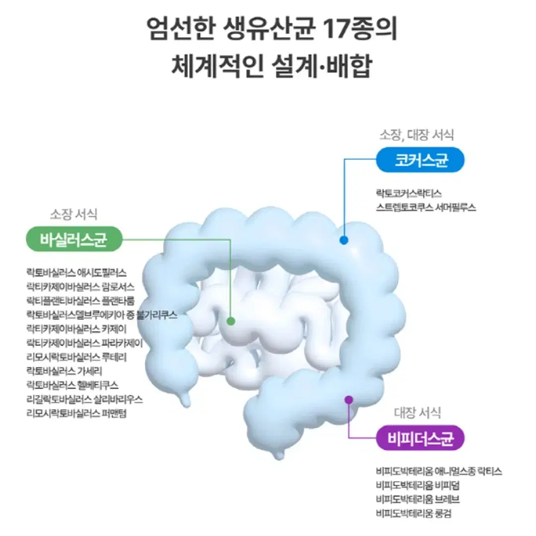 [2개월]캐나다 항공직송 정식통관 100억 프로바이오틱스 유산균 60C