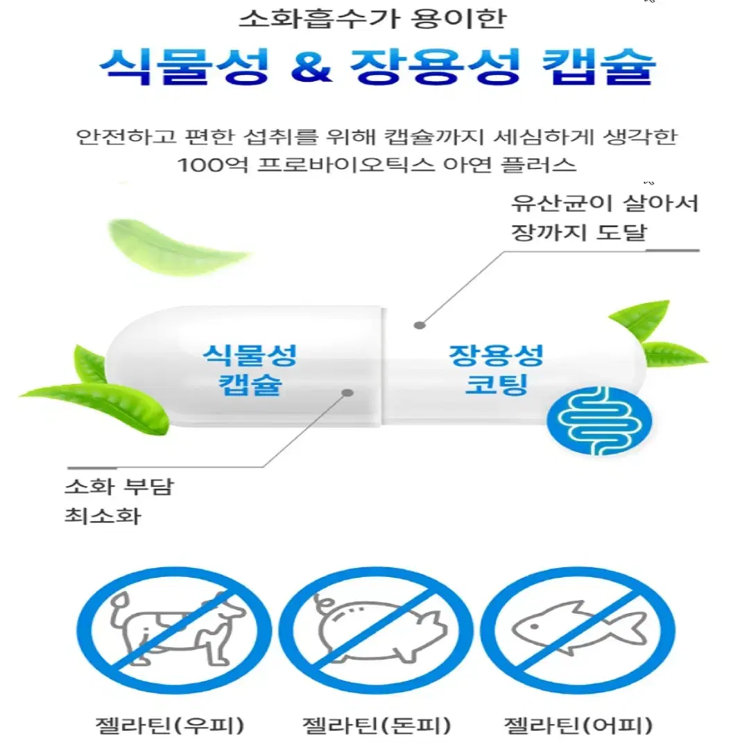 [2개월]캐나다 항공직송 정식통관 100억 프로바이오틱스 유산균 60C