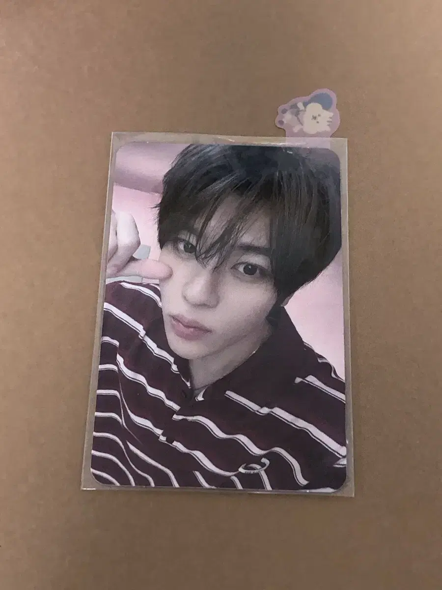 Steady FromStore sion unreleased photocard