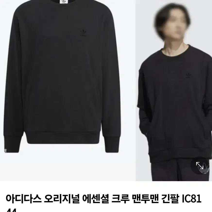 아디다스 오리지널 크루 맨투맨 [2XL] 새제품 긴팔 IC8144