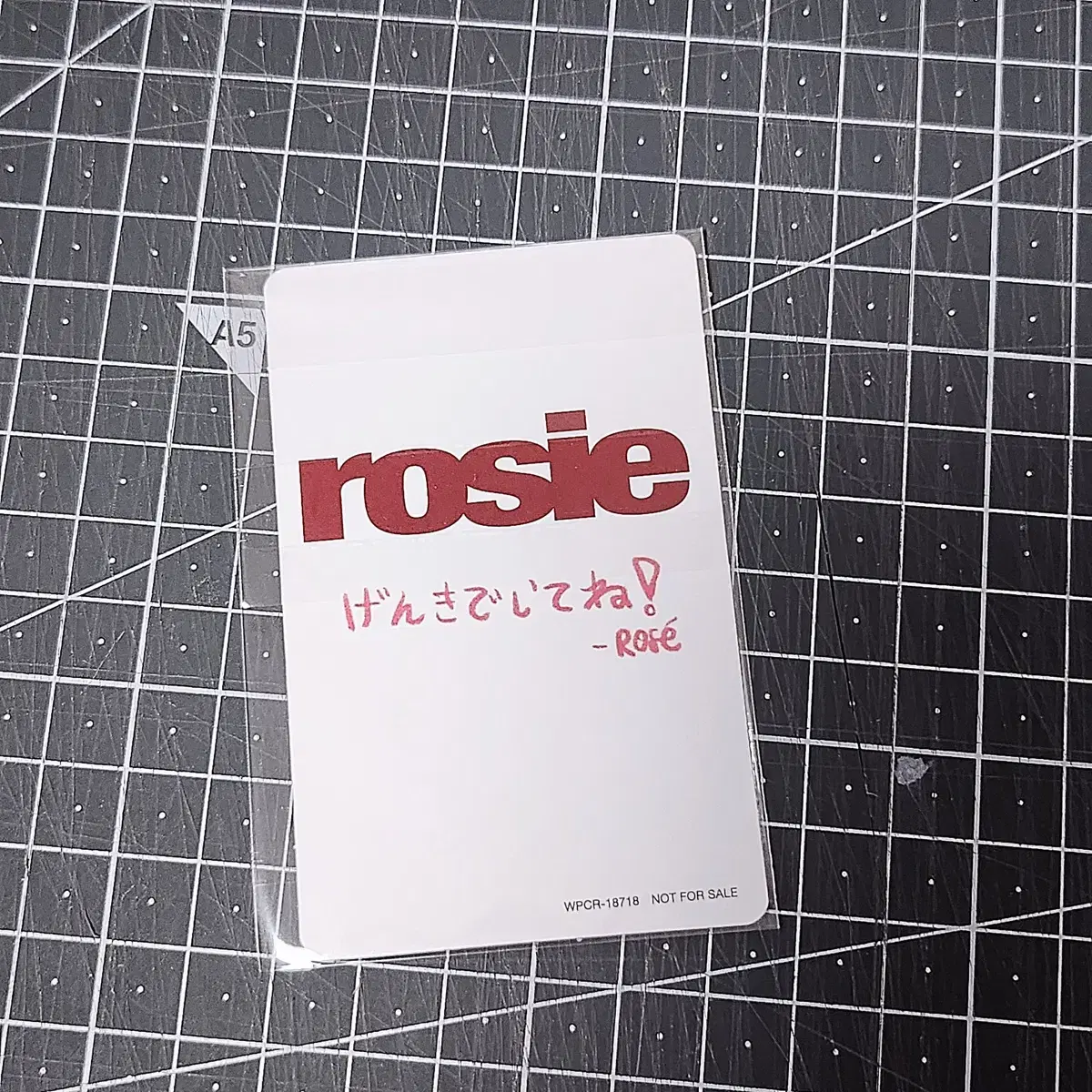 로제(rose) 일본 타워레코드 미공포 특전 포카