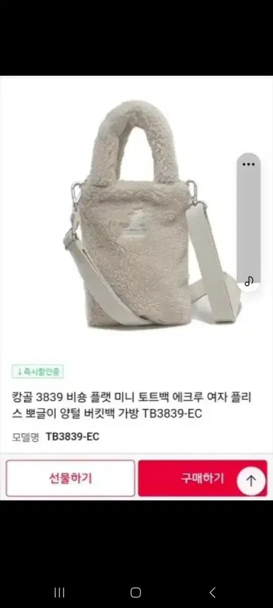 캉골 비숑 크로스