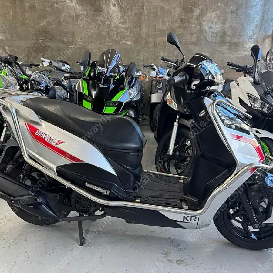 비버125cc kr모터스