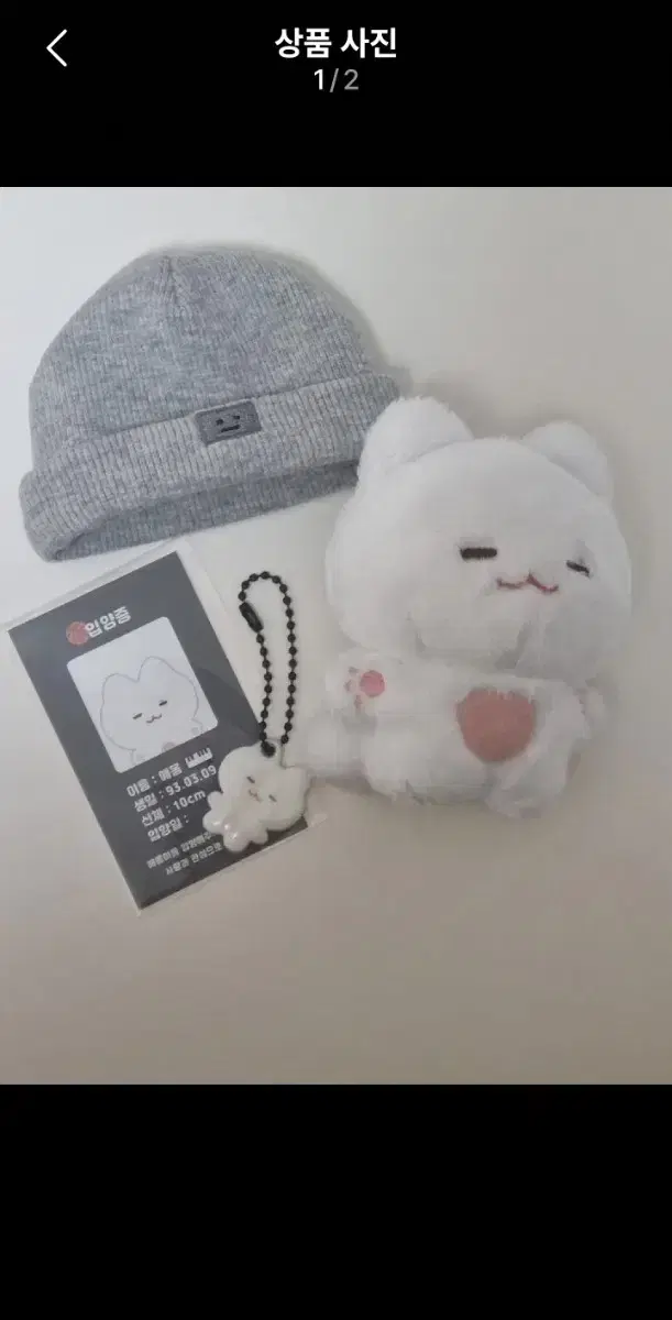 방탄 슈가SUGA 10cm 애옹이 인형