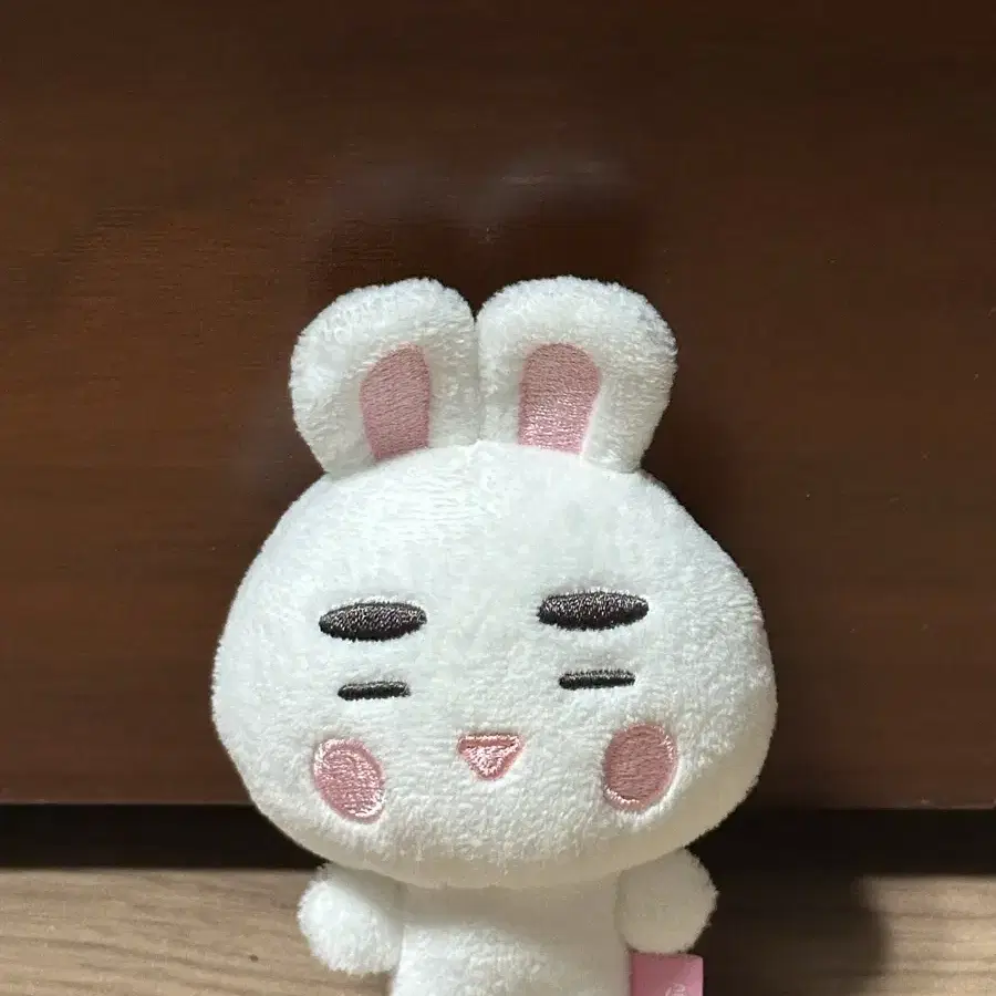 샤이니 인형 찡구왕 10cm