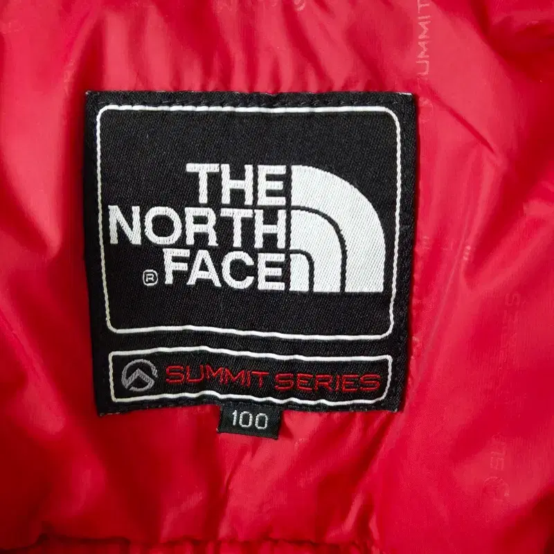 공용 100 | THE NORTH FACE 구스다운 패딩