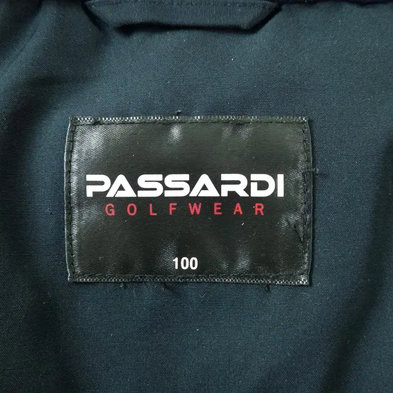 공용 100 | PASSARDI 패딩