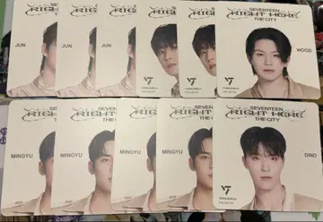 세븐틴 세븐틴 세부치 버드귀족 코스터 RIGTH HERE