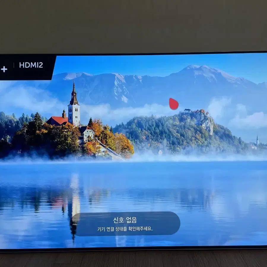 LG OLED 올레드 TV티비 55인치 팜