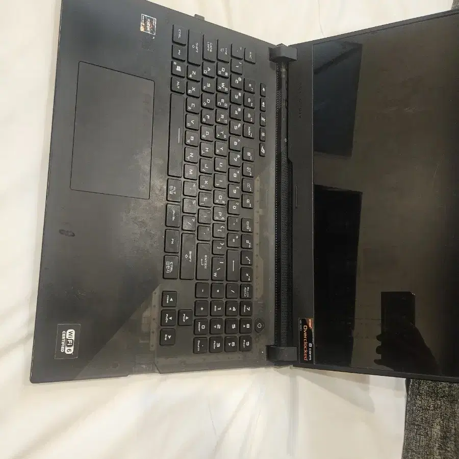 ASUS ROG Scar 17 (g733qr-HG076)