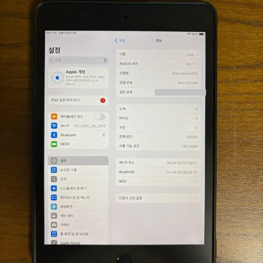 아이패드 미니5 256GB