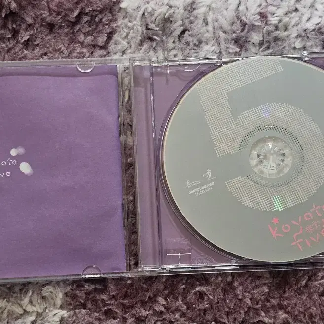 코요테 cd