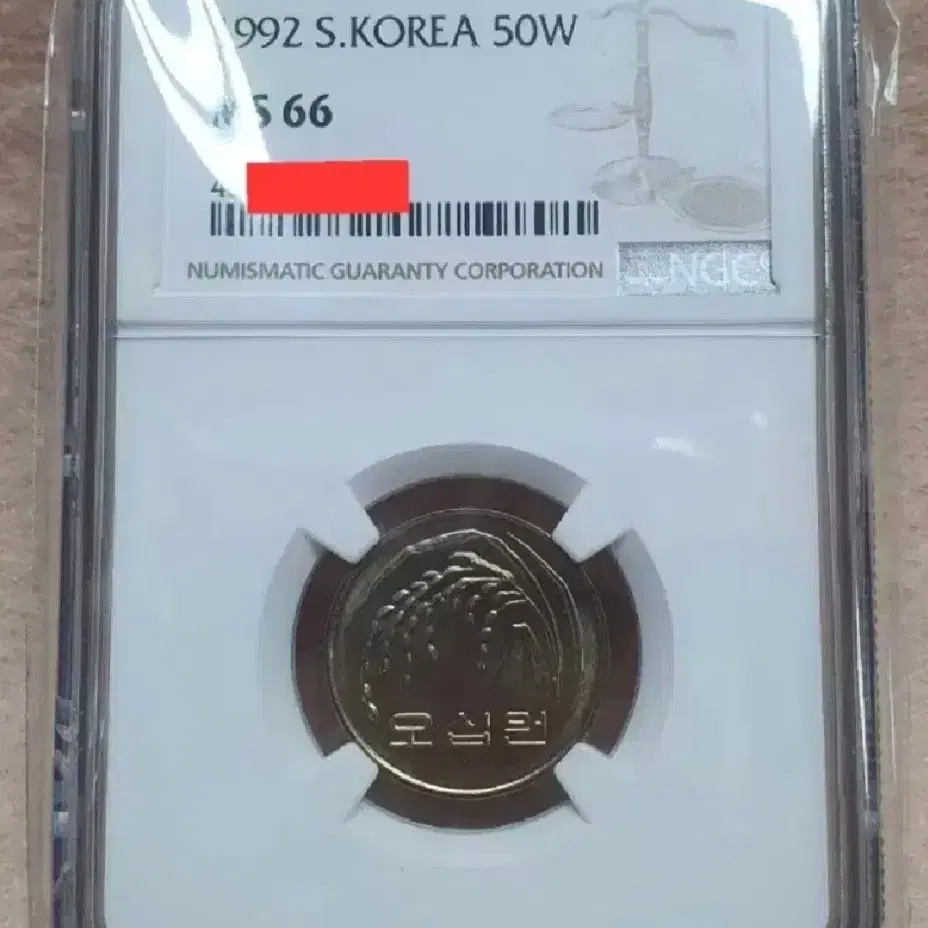 (준특년도) 그레이딩 소량 1992년 50주 NGC MS 66