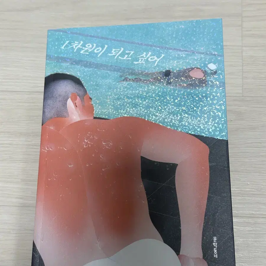 1차원이 되고싶어 책 판매