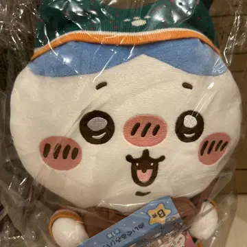 치이카와 (먼작귀) 애니마이 복권 B상