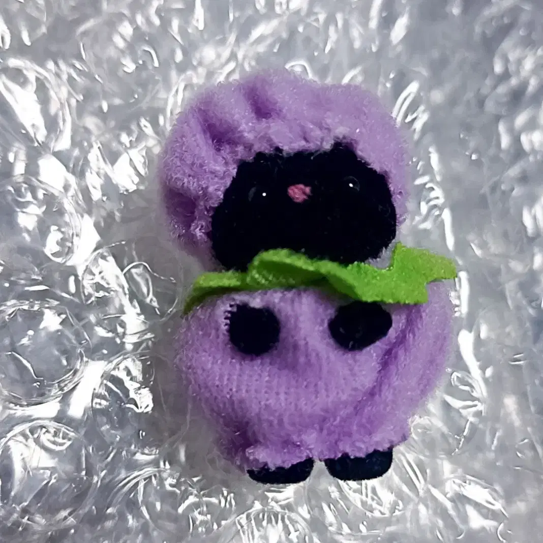 소노마 카운티 동물보호협회의 저자 게일 시타, image size:1068x1068