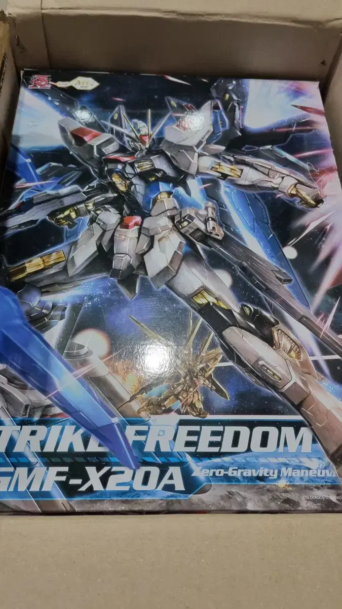 Customers Strike Freedom Shine