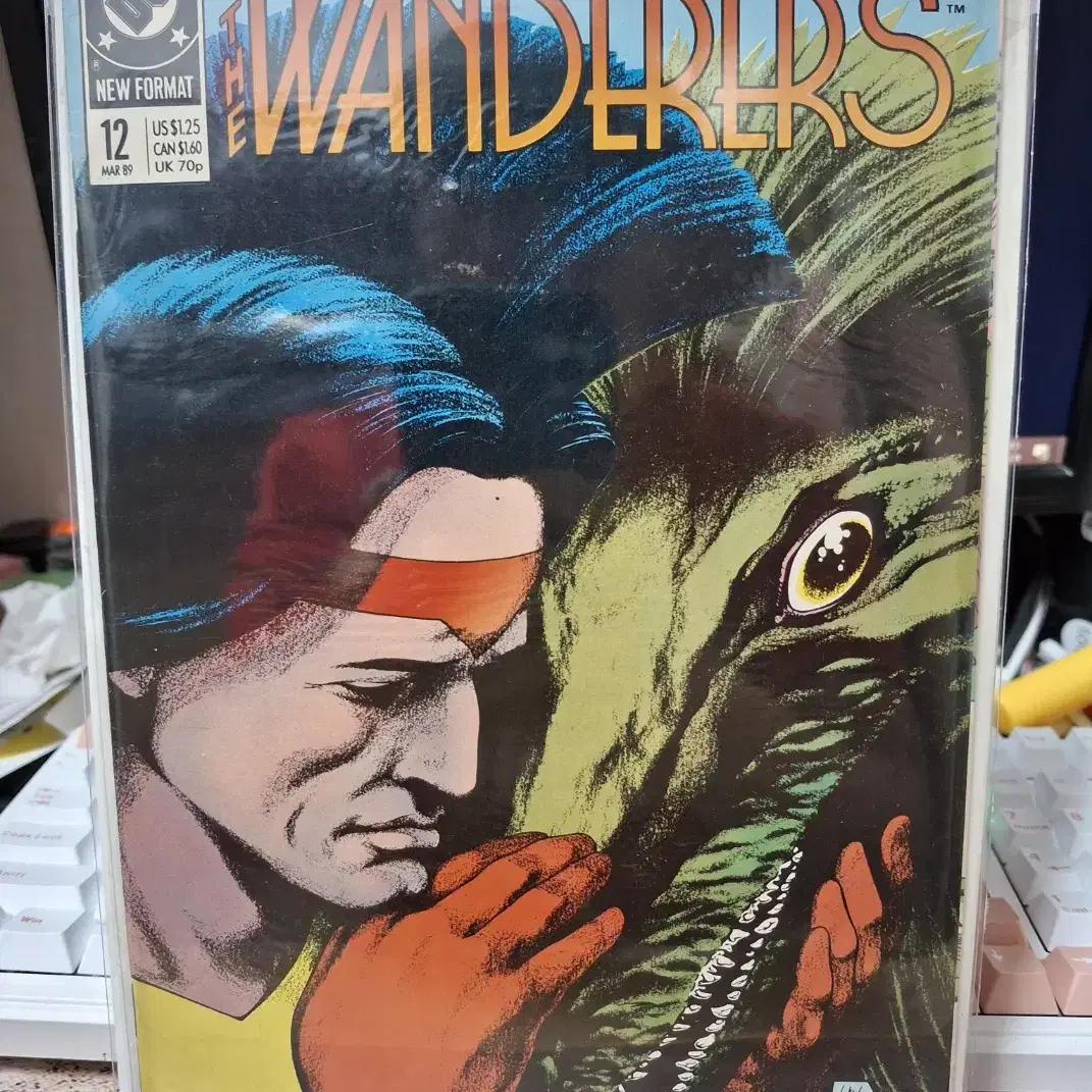 The Wanderers (1988-) #12