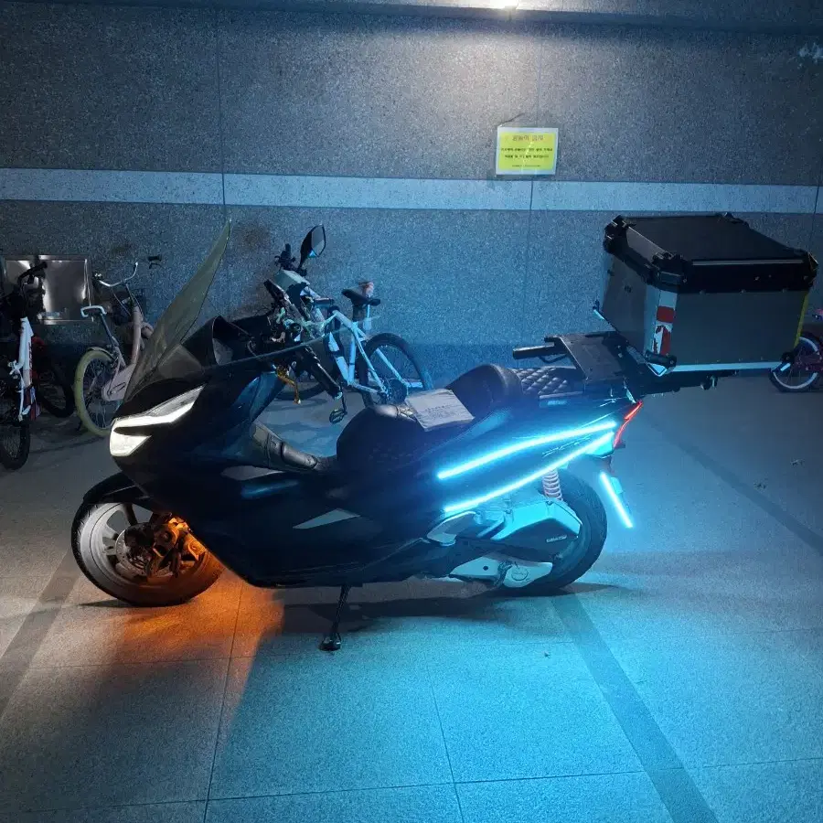 더뉴 pcx 19년식 풀튜닝