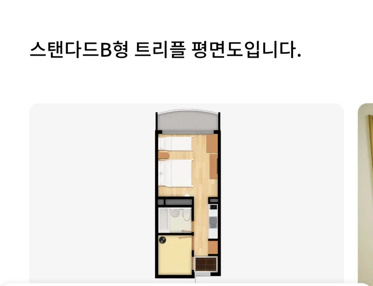 웰리힐리 1월25일