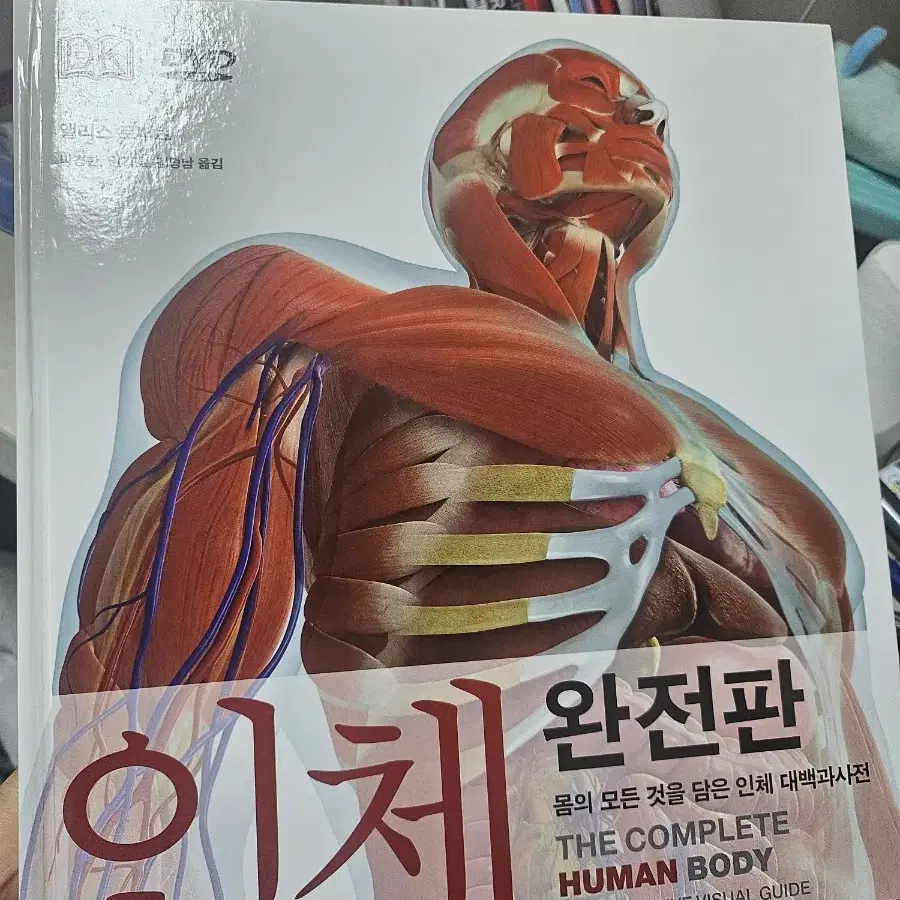 인체 완전판