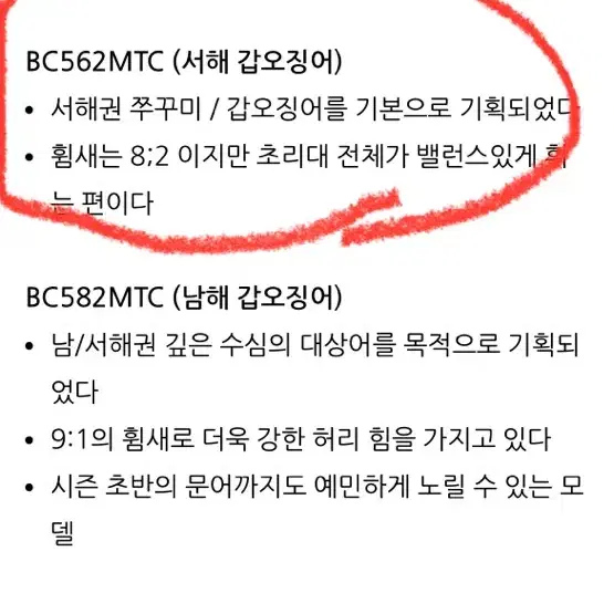 쭈꾸미 갑오징어 낚시대 빅소드 BC562MTC