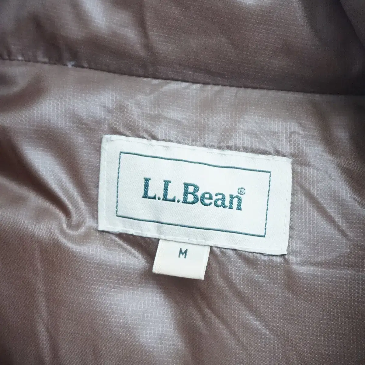 L.L.Bean