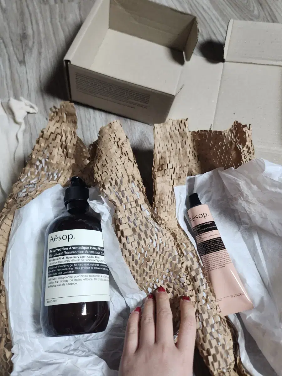 Aesop Hand Wash and Hand Cream Set