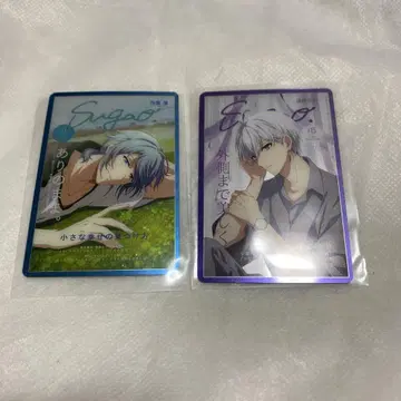 아이나나 메타카19 Sugao