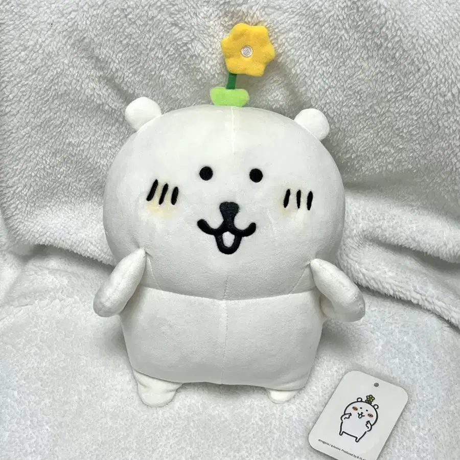 비플랏 농담곰 꽃