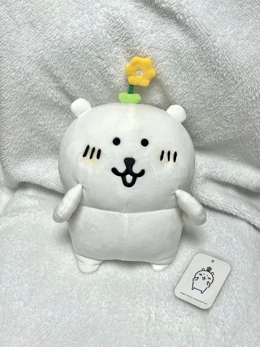 비플랏 농담곰 꽃