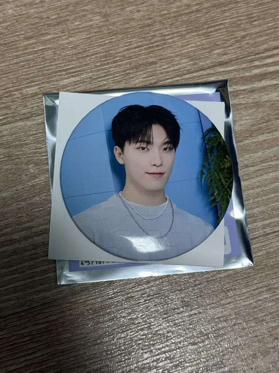 Seventeen Home Canbadge Dino