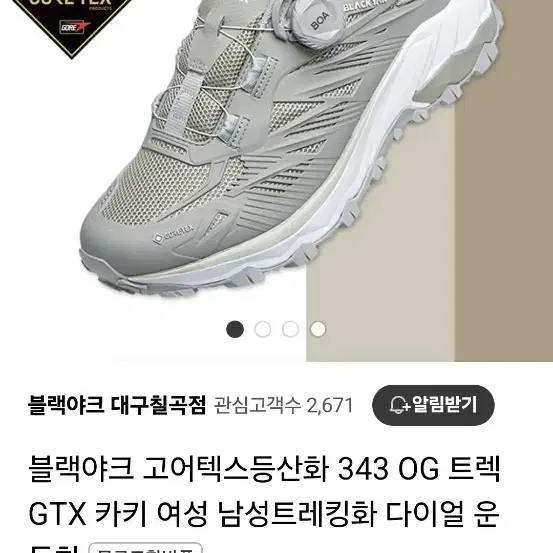 블랙야크 고어텍스 트레킹화 270