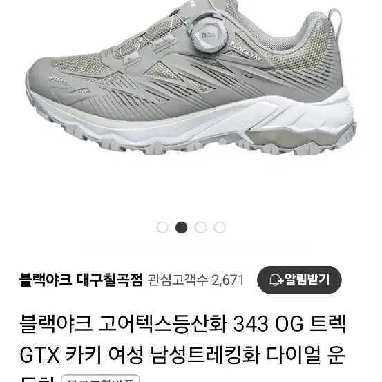 블랙야크 고어텍스 트레킹화 270