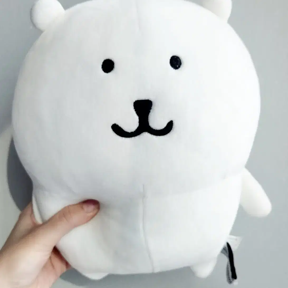 비플랏 기본 농담곰