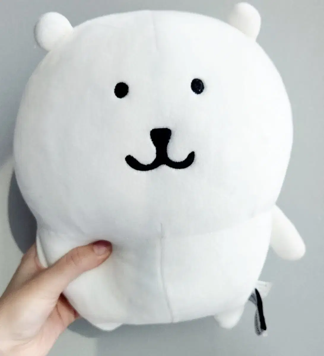 비플랏 기본 농담곰